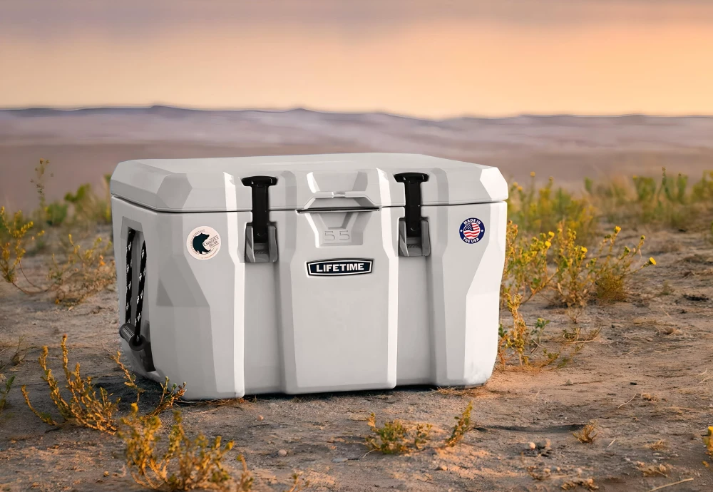 cooling ice chest