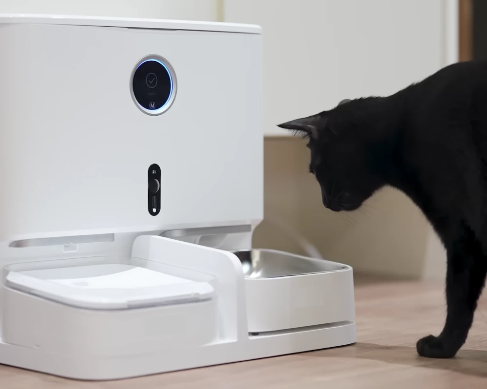 automatic dog food feeder
